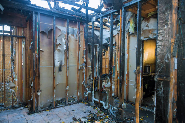Professional Fire Damage Removal technician working in Livingston, LA